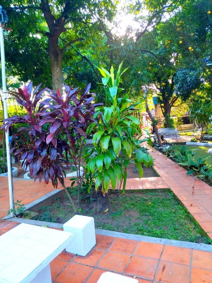 Hotel La Aparesida Areguá Exterior foto